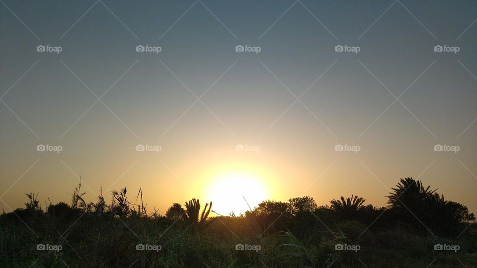 sunset in the nature