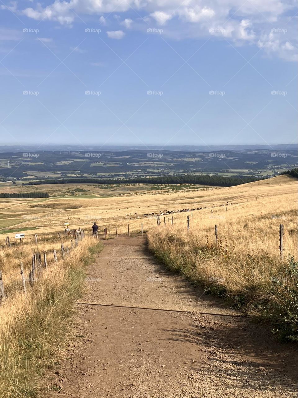 Path in countryside with landscape view