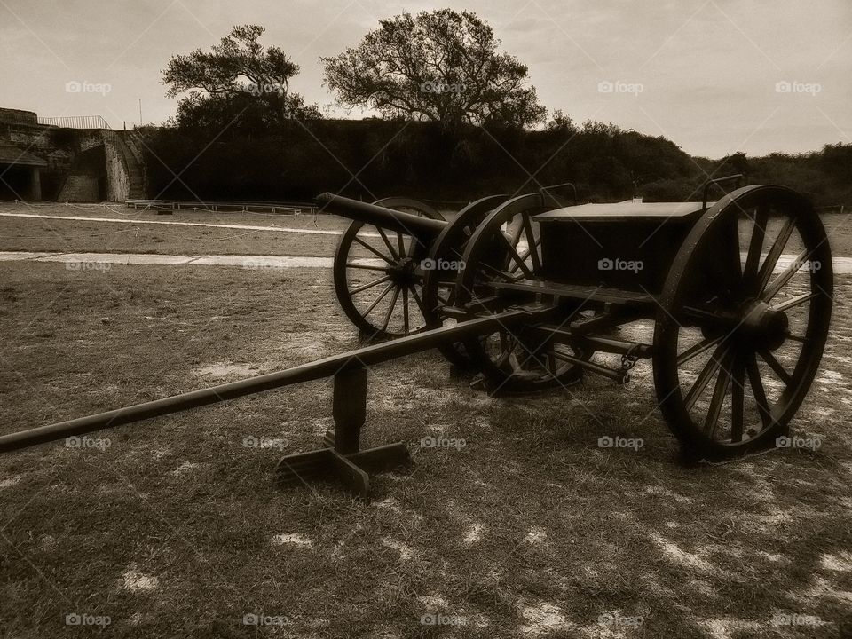 cannon