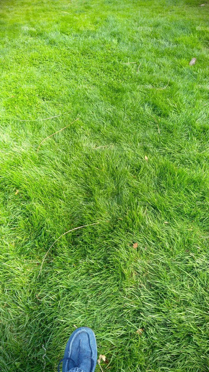 walking on grass