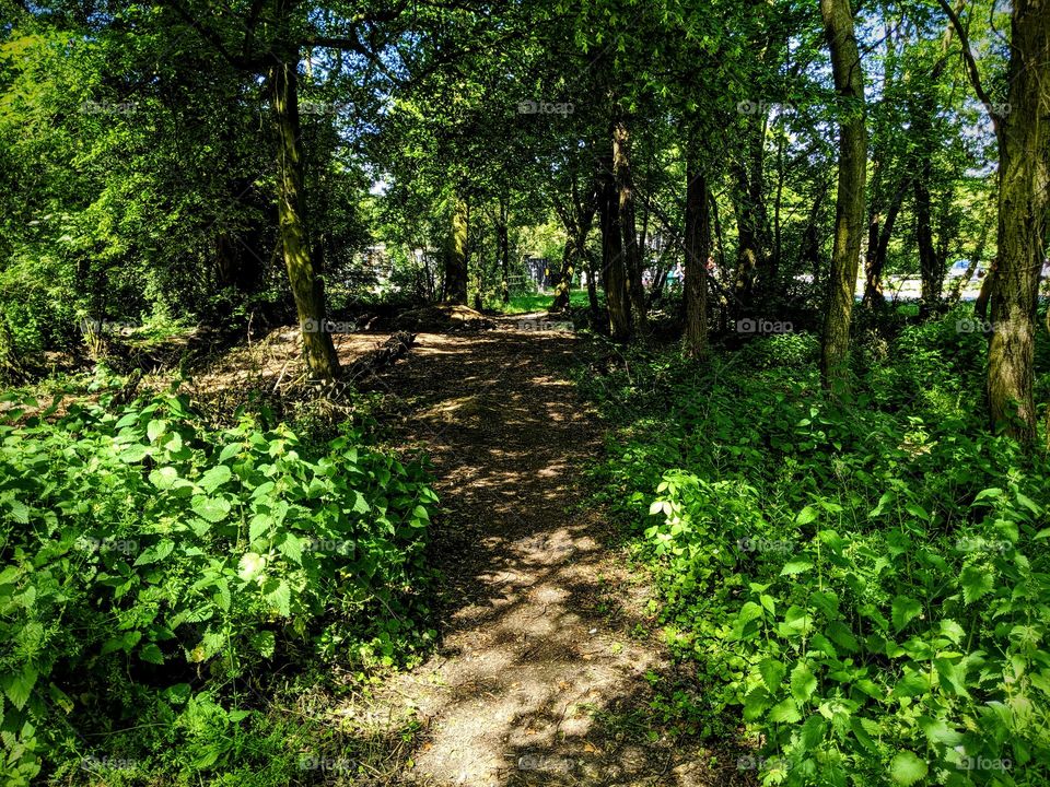 Aldenham Country Park