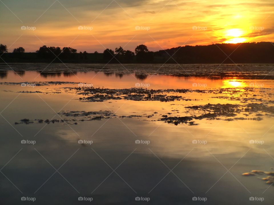 Golden Pond