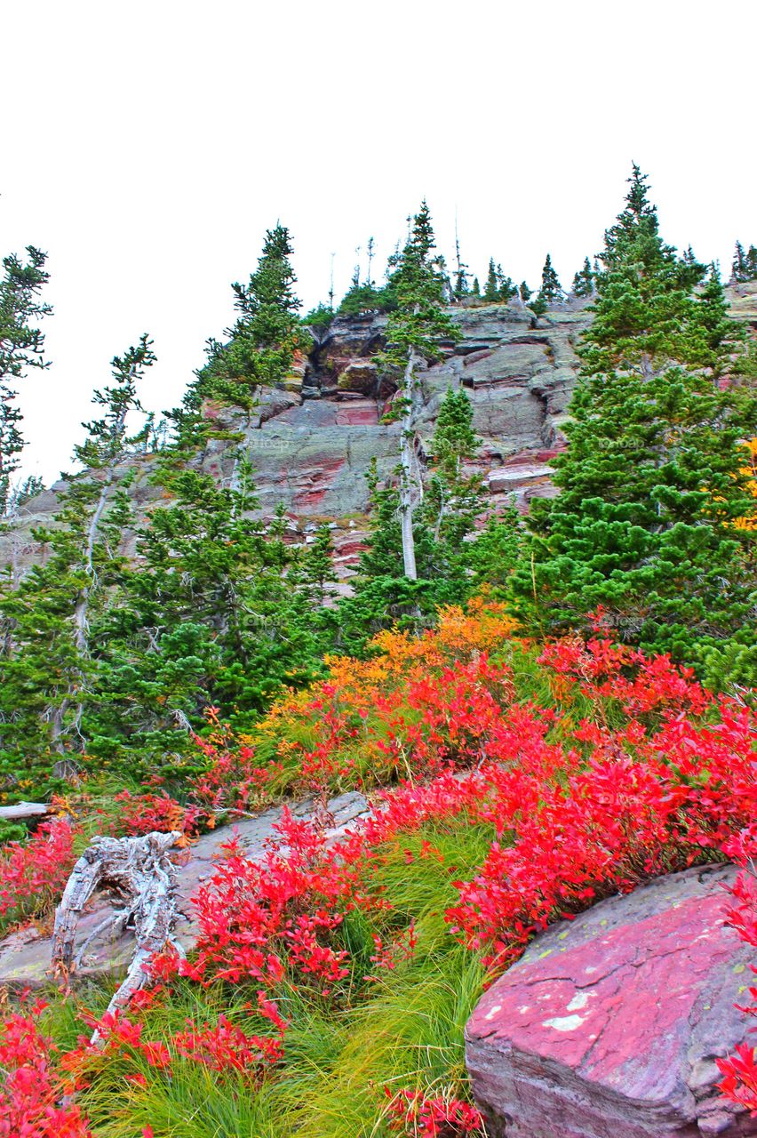 Autumn colors in the nature 