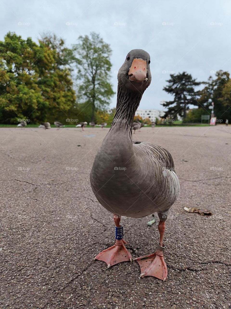 Is there any more bread?