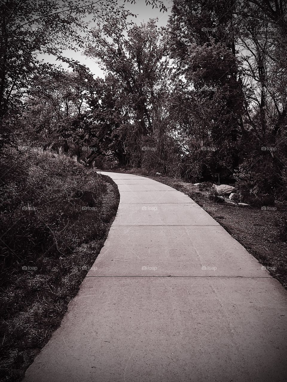 Pathway 
