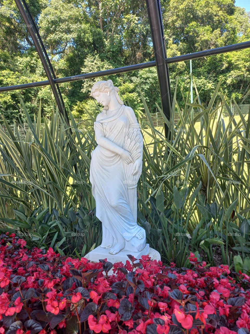 Jardim botânico ⚘