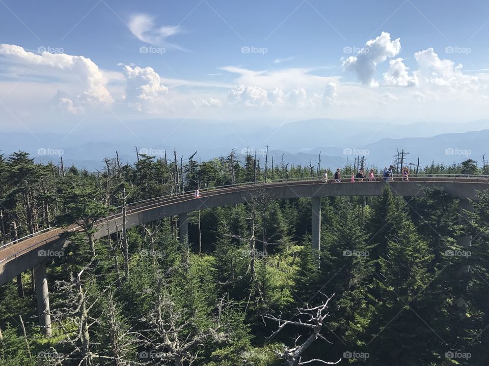 Stunning path to the lookout over Klingman’s Dome, the highest point of the Great Smokey Mountains in Tennessee. 