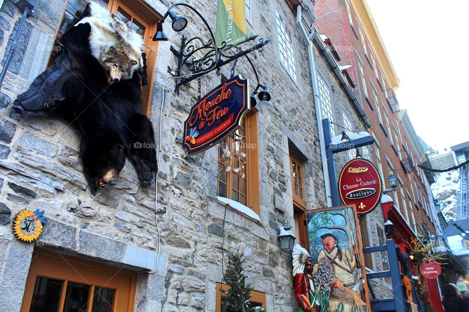 Quebec
Quebec city
Street
Road
Bear
Wolf
Winter
