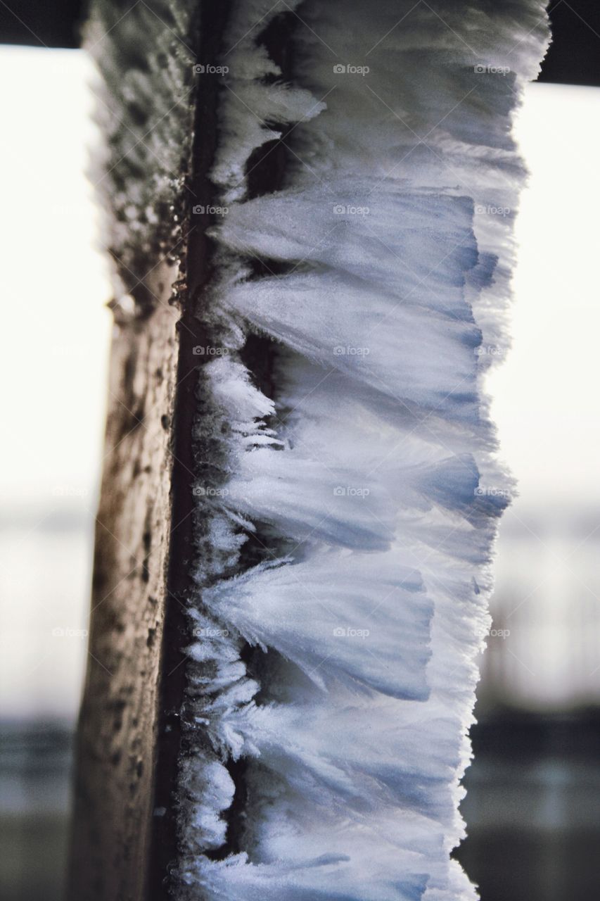 Frost... Macro... 