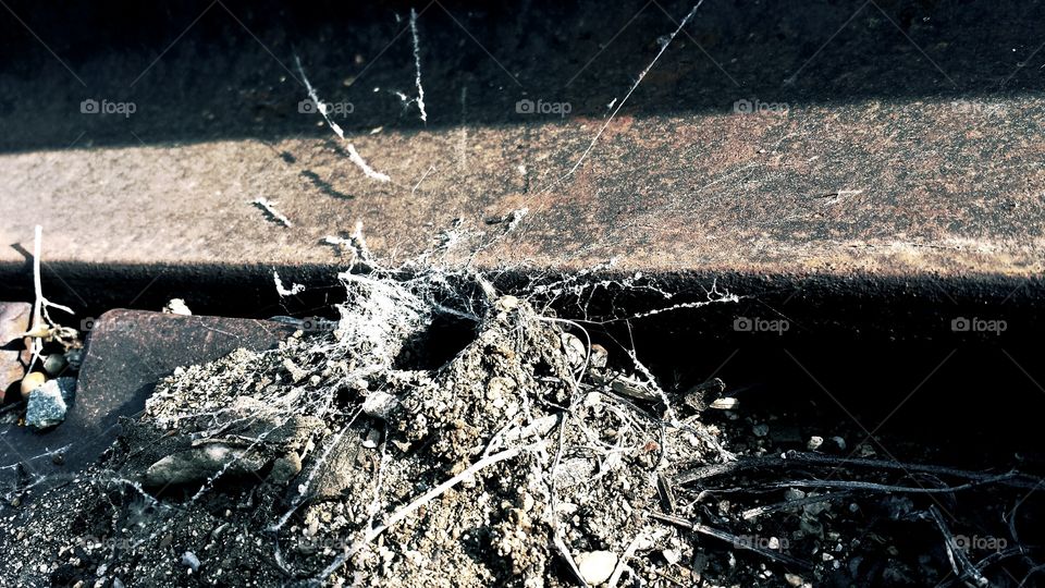 The Spider Web on the Tracks