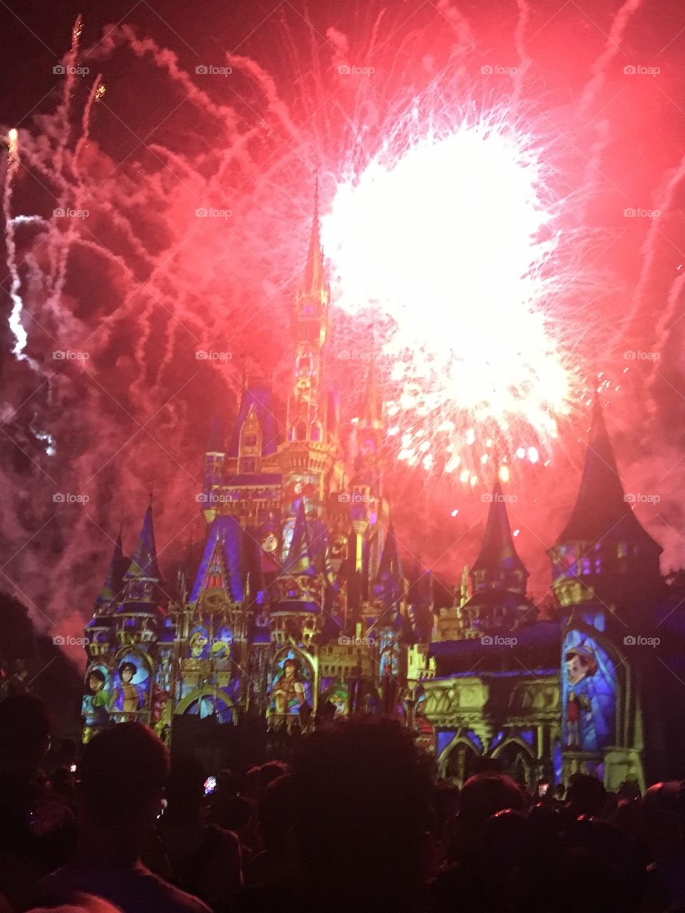 A beautiful and magical night! In Magic Kingdom!