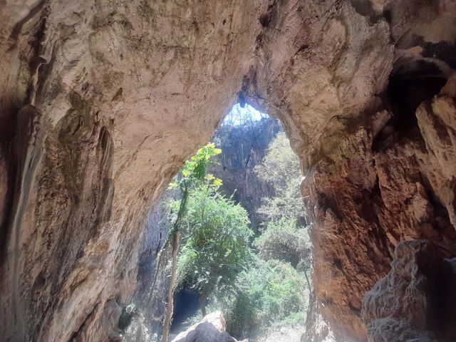 Entrance to the sleeping pool, Chinhoyi caves Zimbabwe 🇿🇼