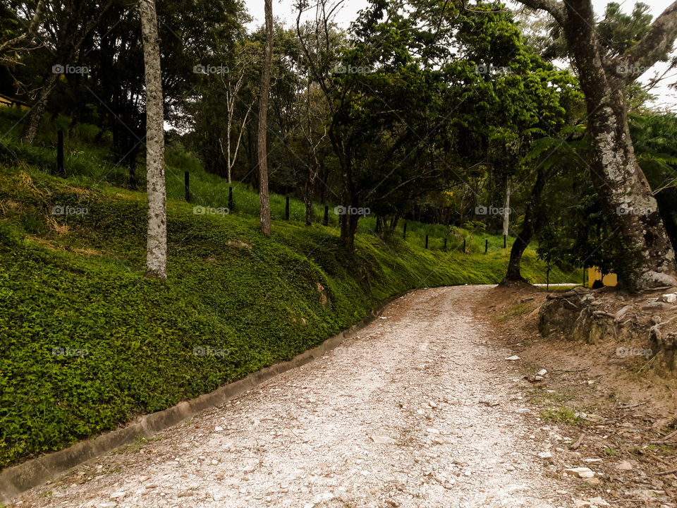 Pela Longa estrada da Vida