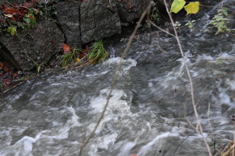 Water, River, Stream, Nature, Leaf