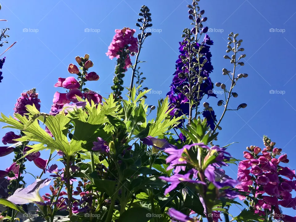 Summer