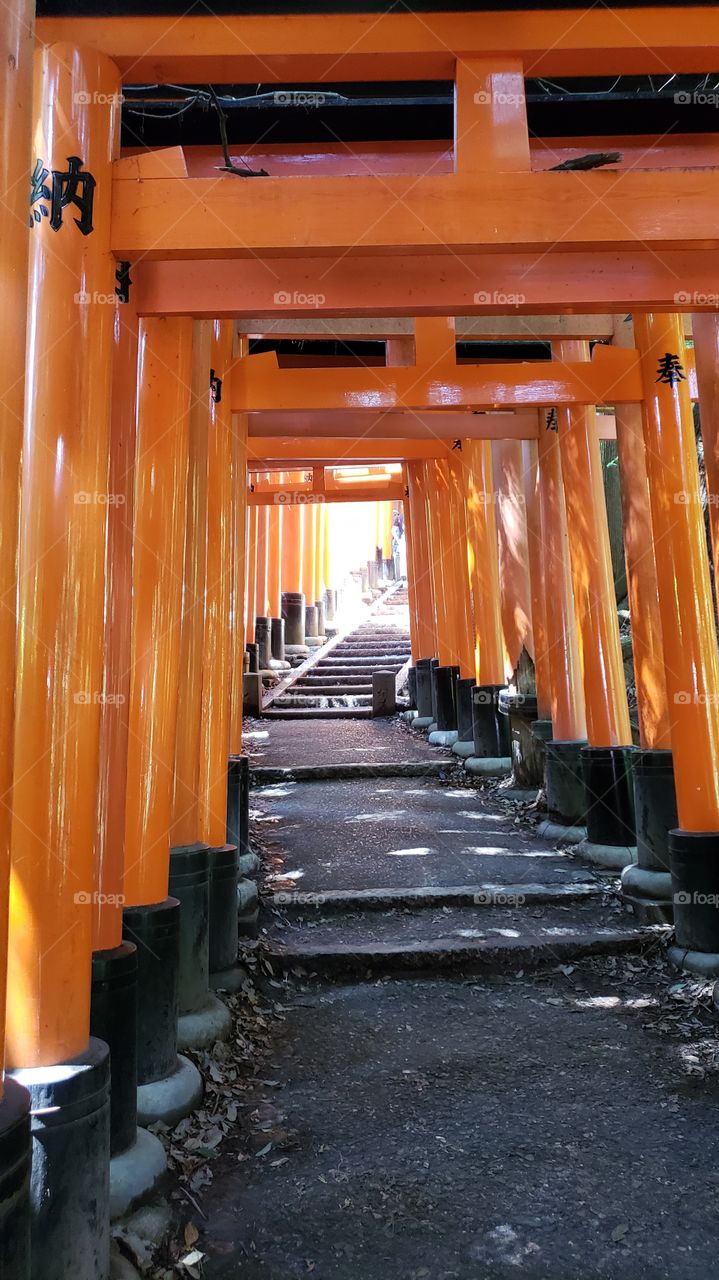 Fushimi Inari-Taisha Shrine - Kyoto Japan