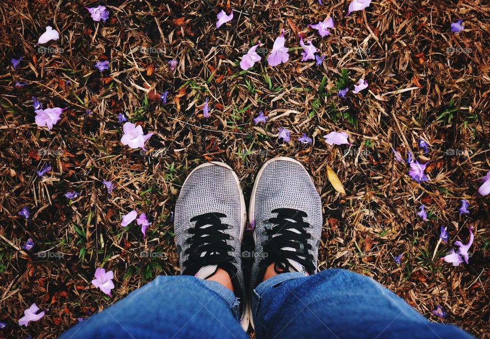 Moving on the ground 