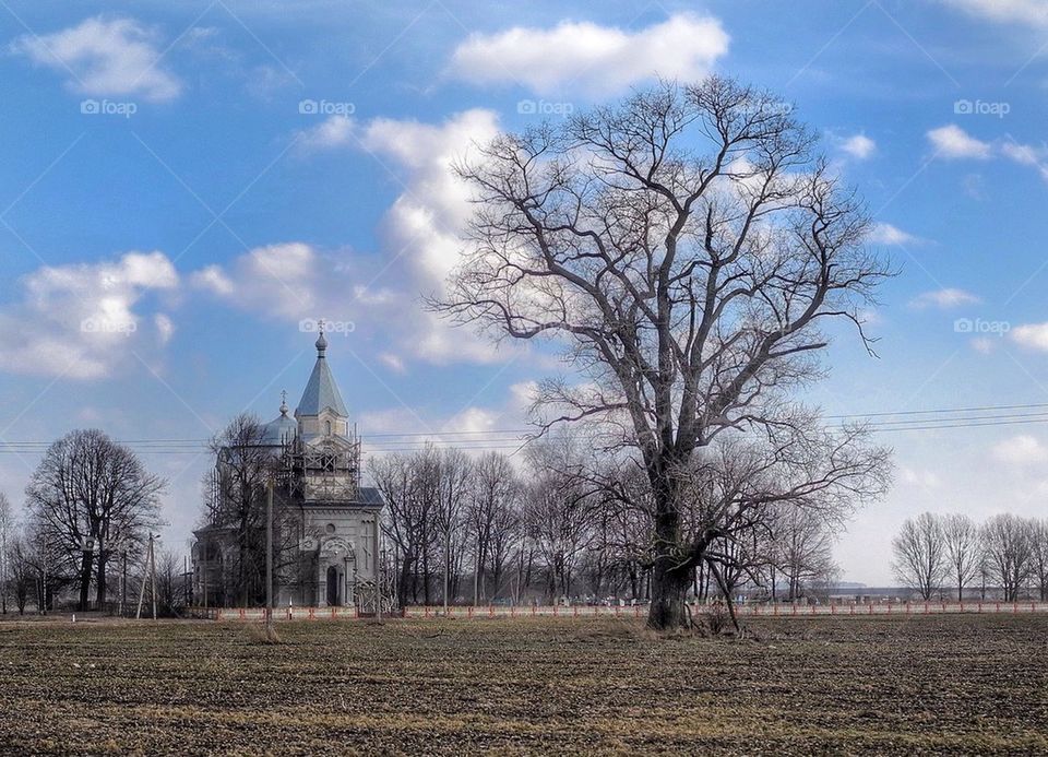 Tree and church. 