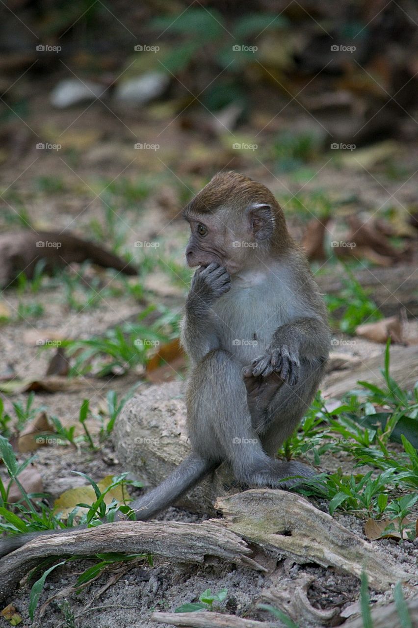 I guess no one loves me