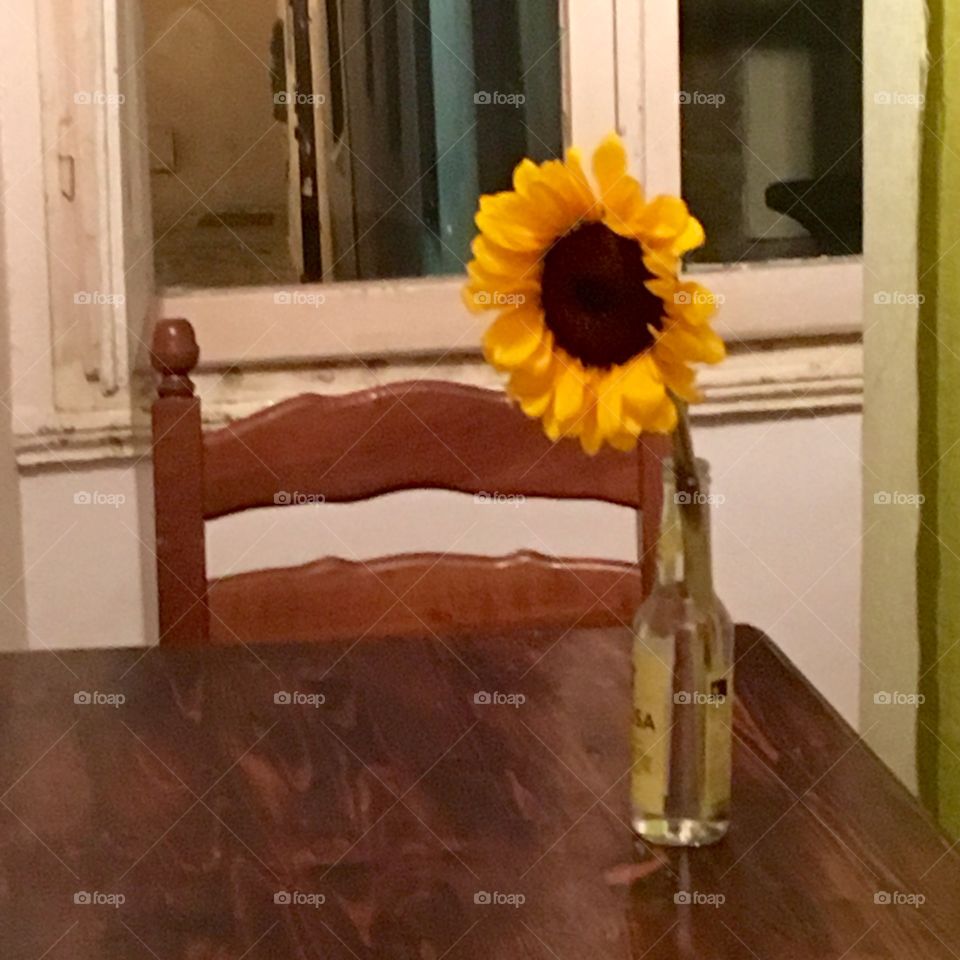 Interno di camera con Girasole, Van Gogh ispira
