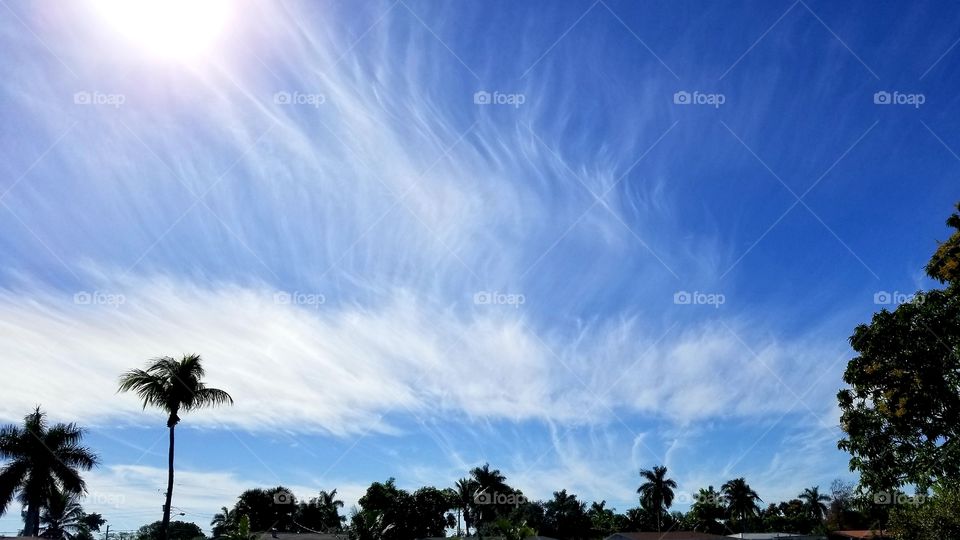 cirrus clouds over Fort Lauderdale, Florida, January 8, 2020