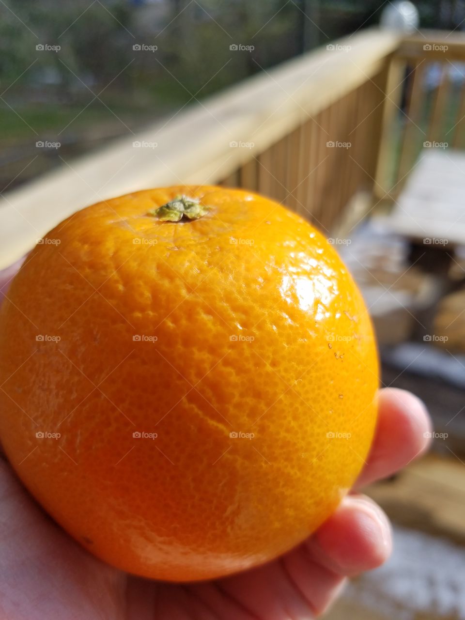 No Person, Tropical, Juice, Health, Food