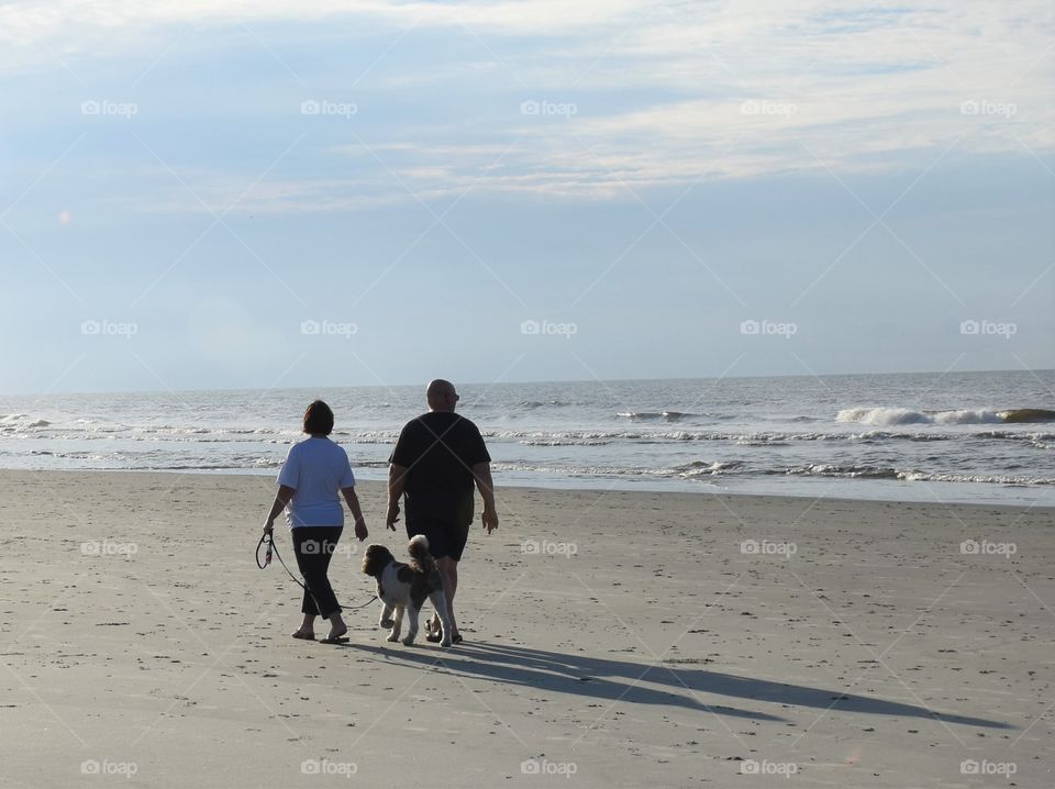 Dog and it’s owners walking on the beach early in the morning 