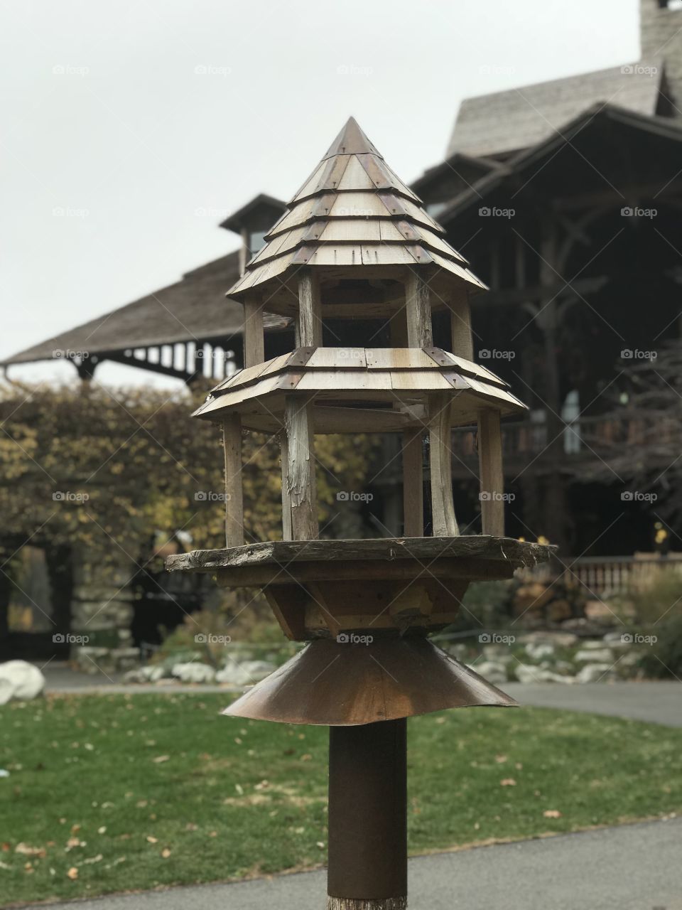 Birds house 