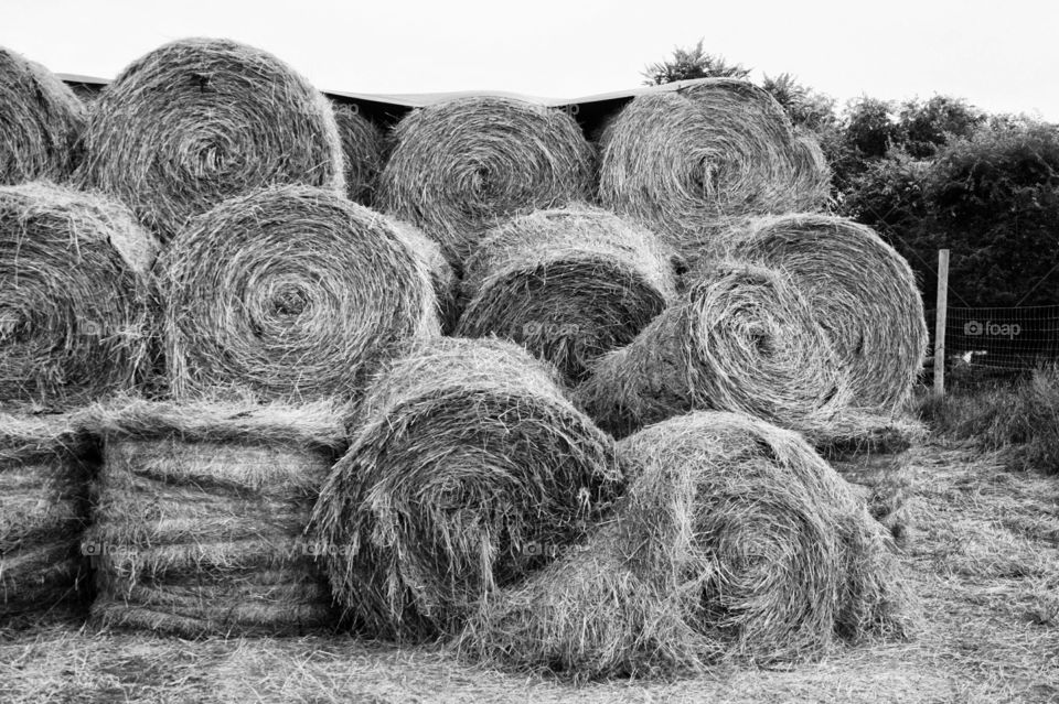 stack of broken round grass hay bales