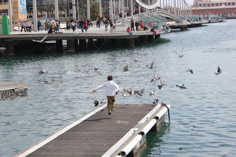 Boy/ kid playing outside in Barcelona Spain. Boy chasing birds on boat pier during international travel vacation.