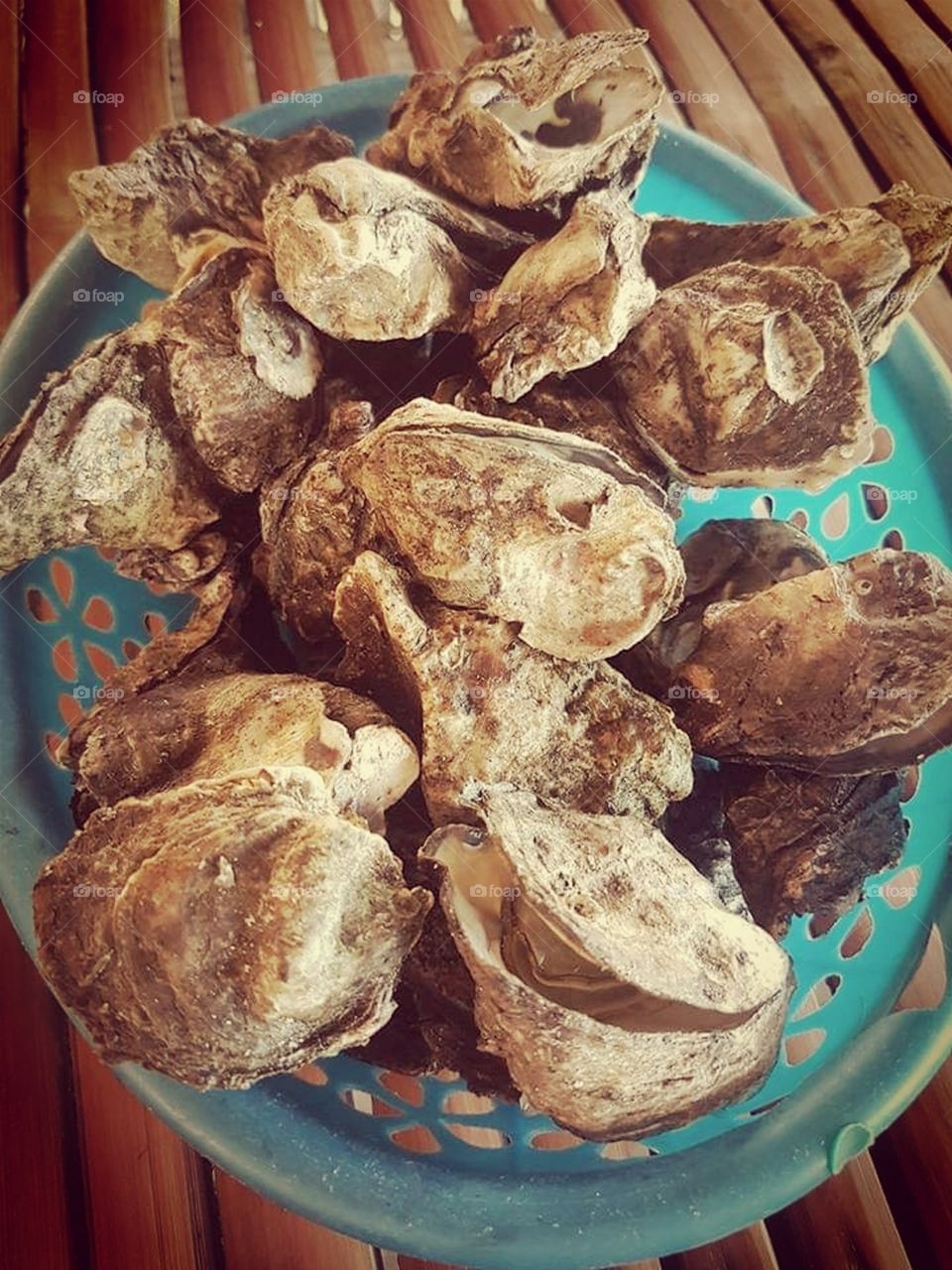 The Aphrodisiacs, "Oysters."