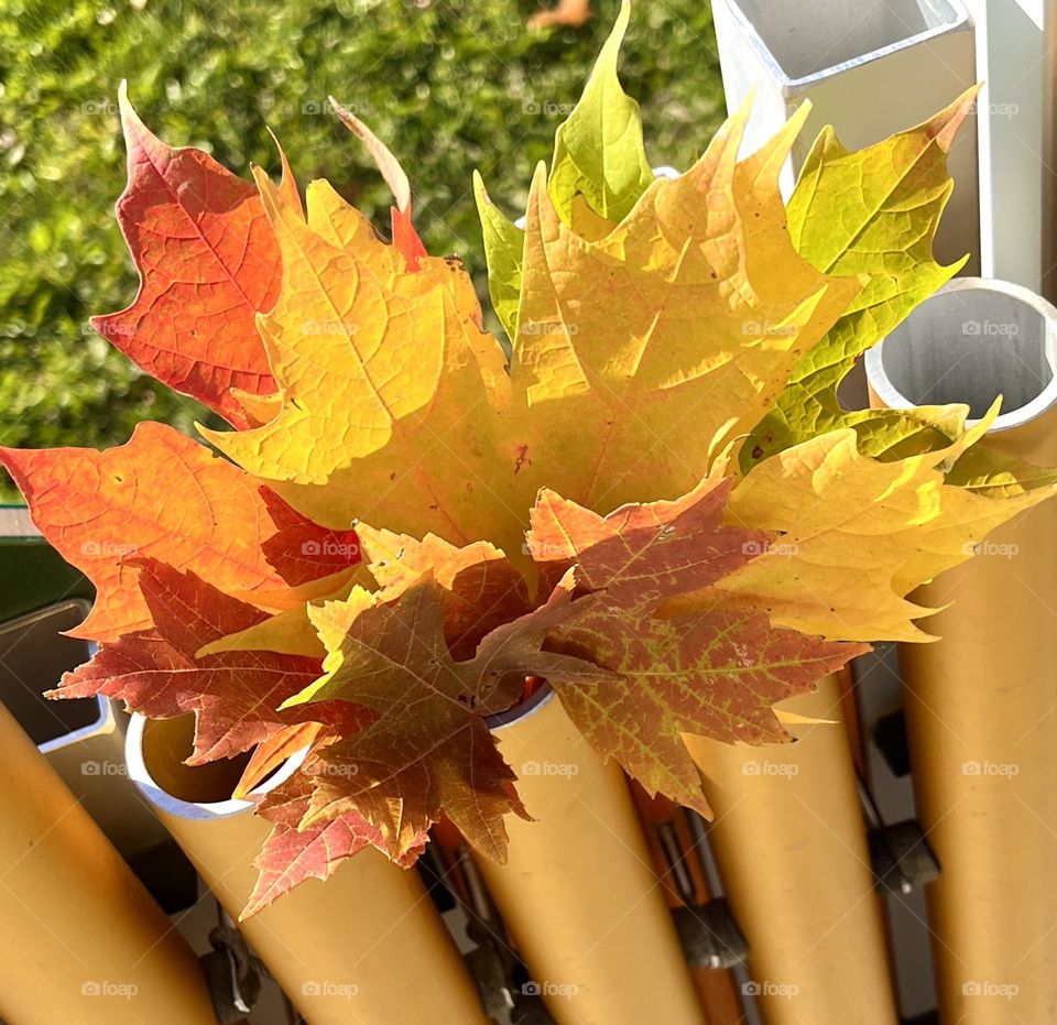 Autumn Bouquet 