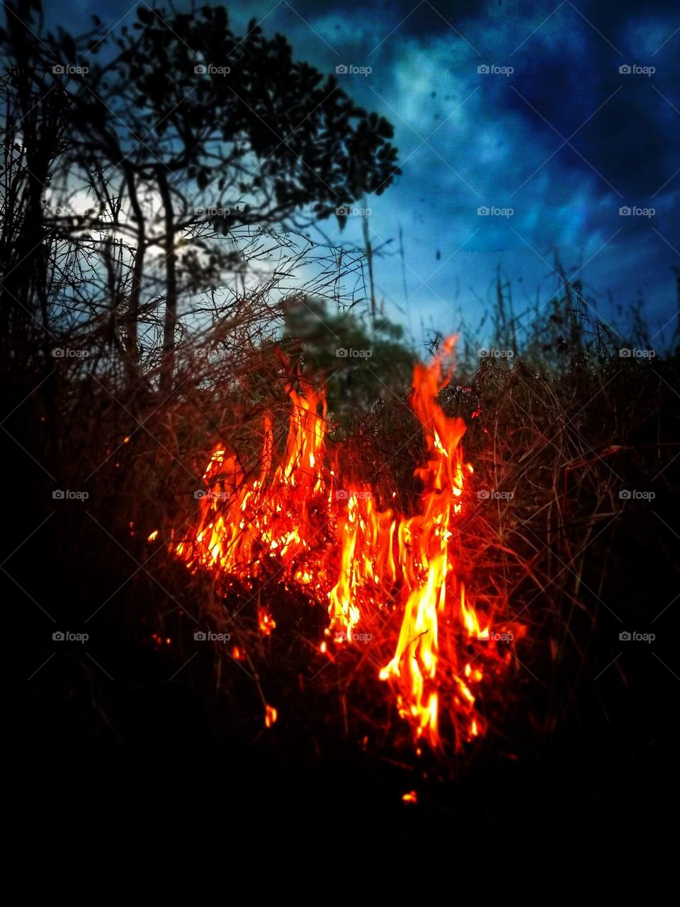 fire 🔥