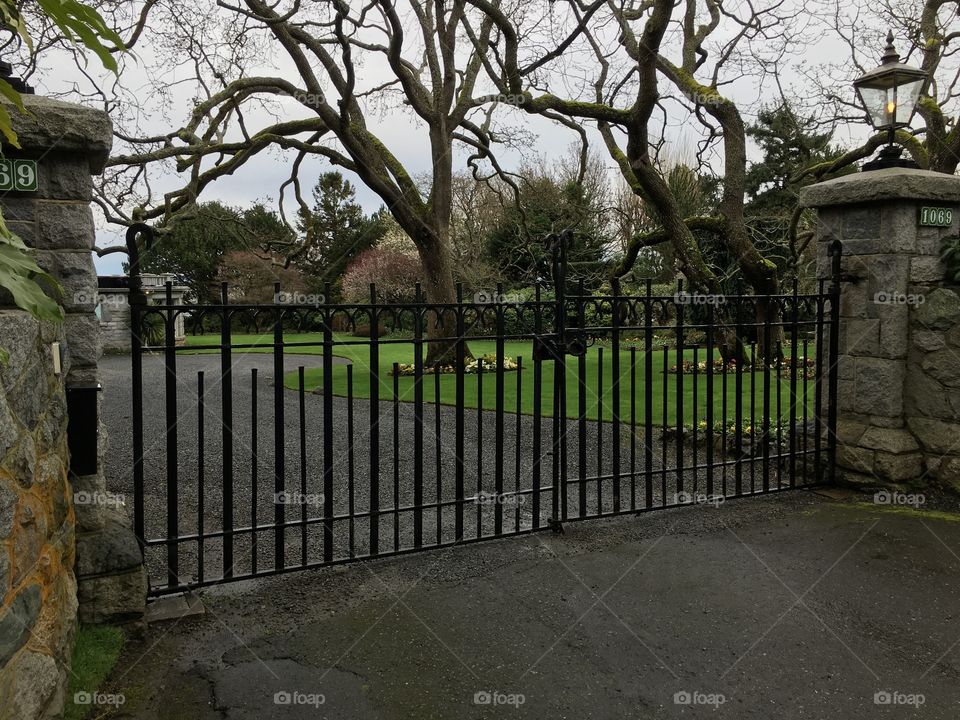 Close-up of closed gate