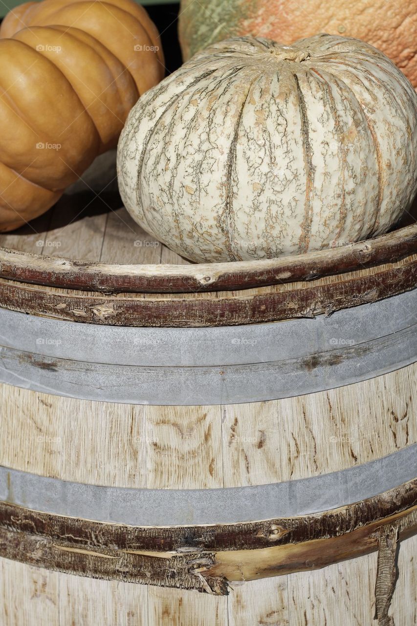 Pumpkins on a Barrel