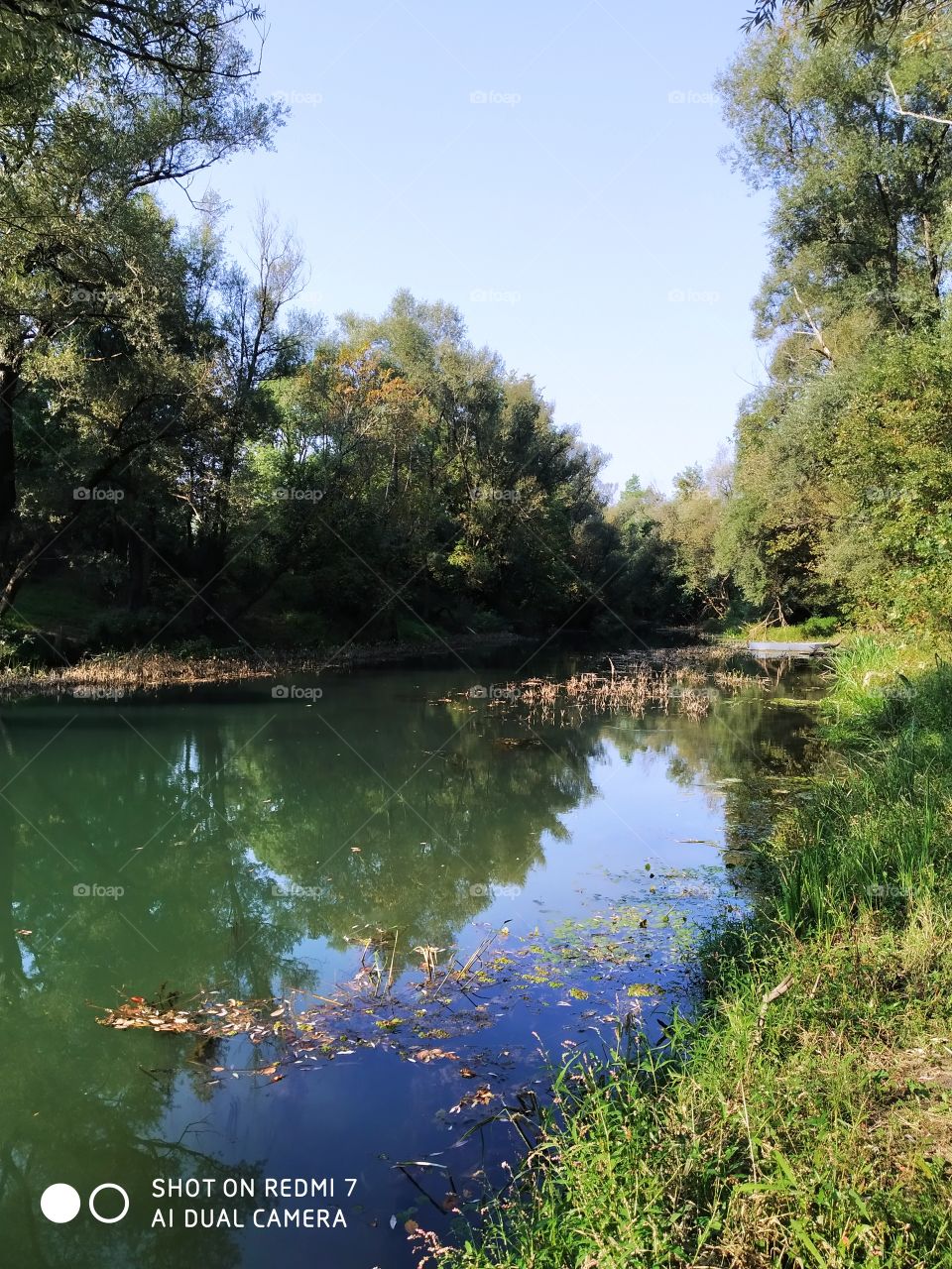 rijeka Odra krajem ljeta