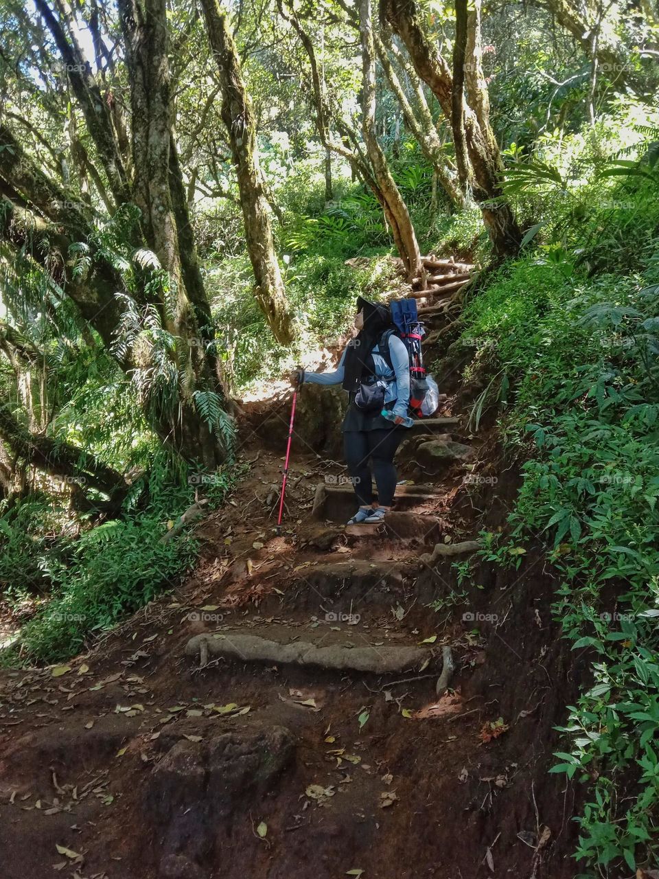 A woman is enjoying the natural beauty of the Indonesian mountains.