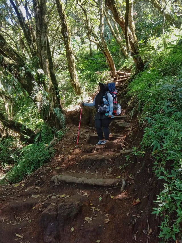 A woman is enjoying the natural beauty of the Indonesian mountains.