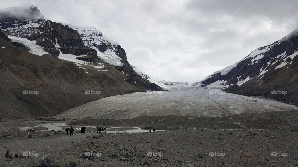 Jasper glacier field