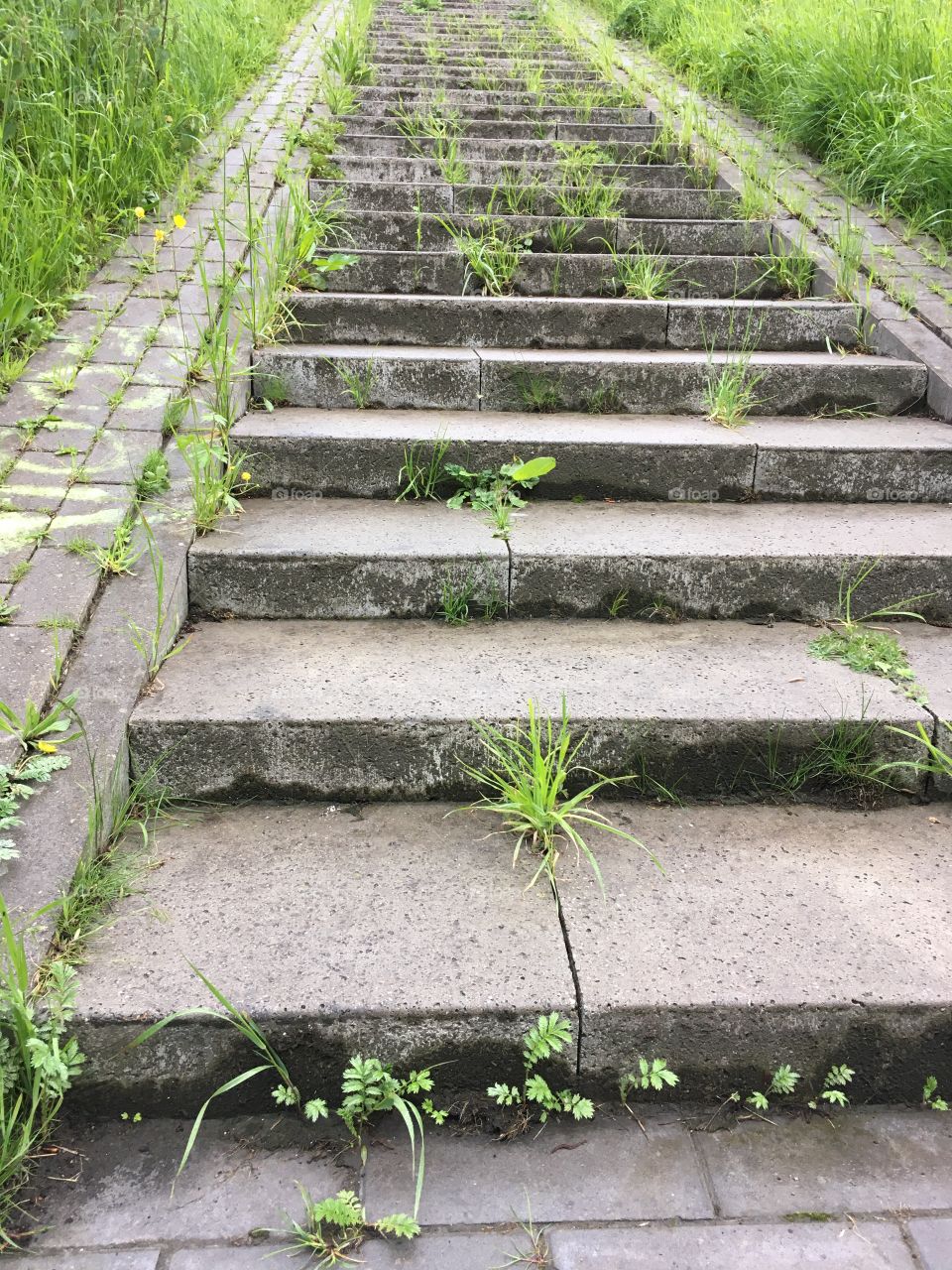 The stairs to the top in the Netherlands