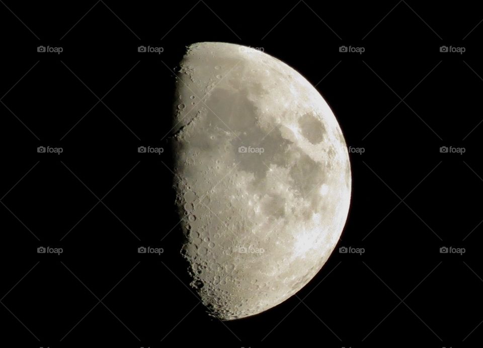 Half Moon lunar phase 