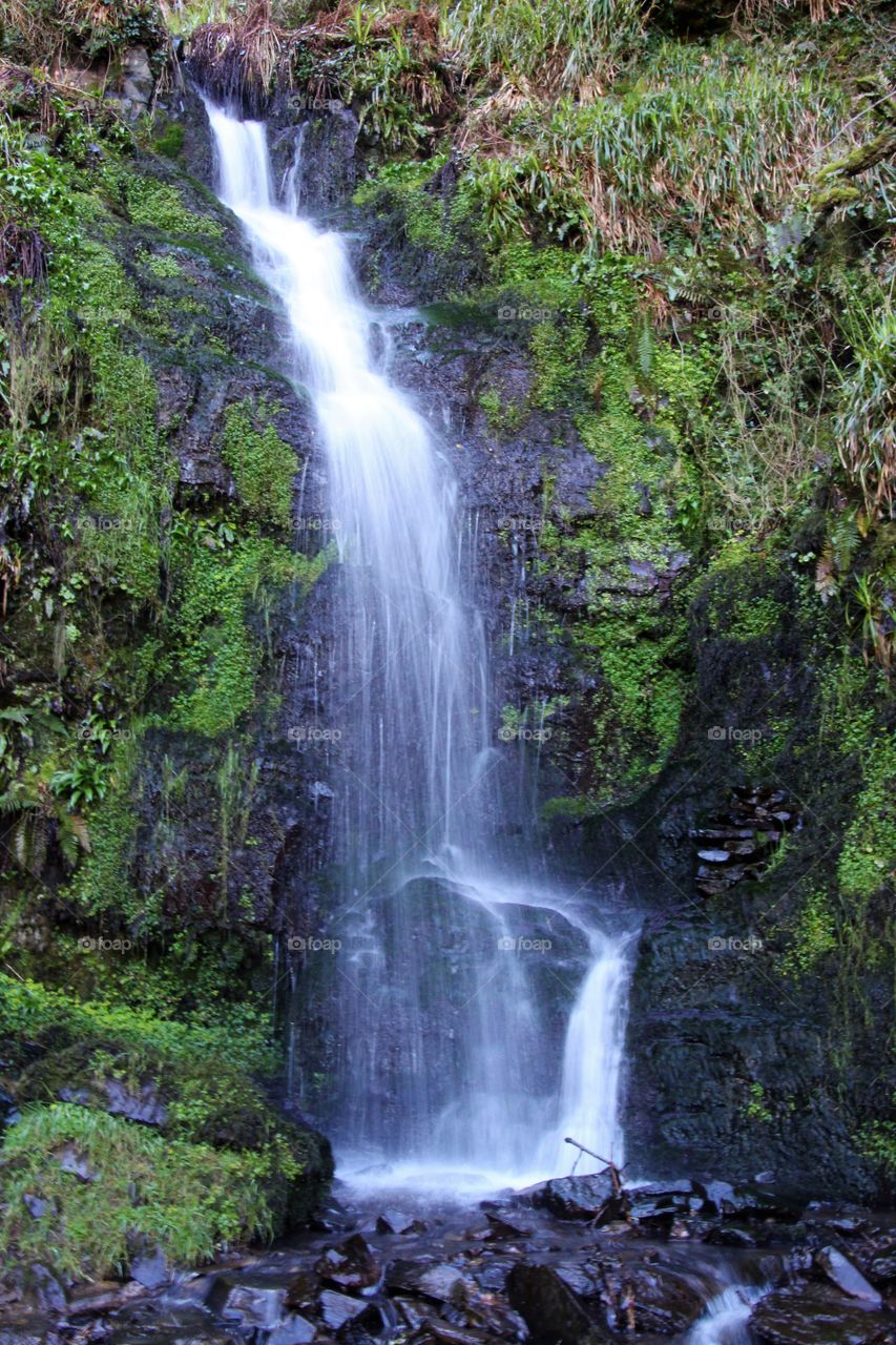 Natural shower