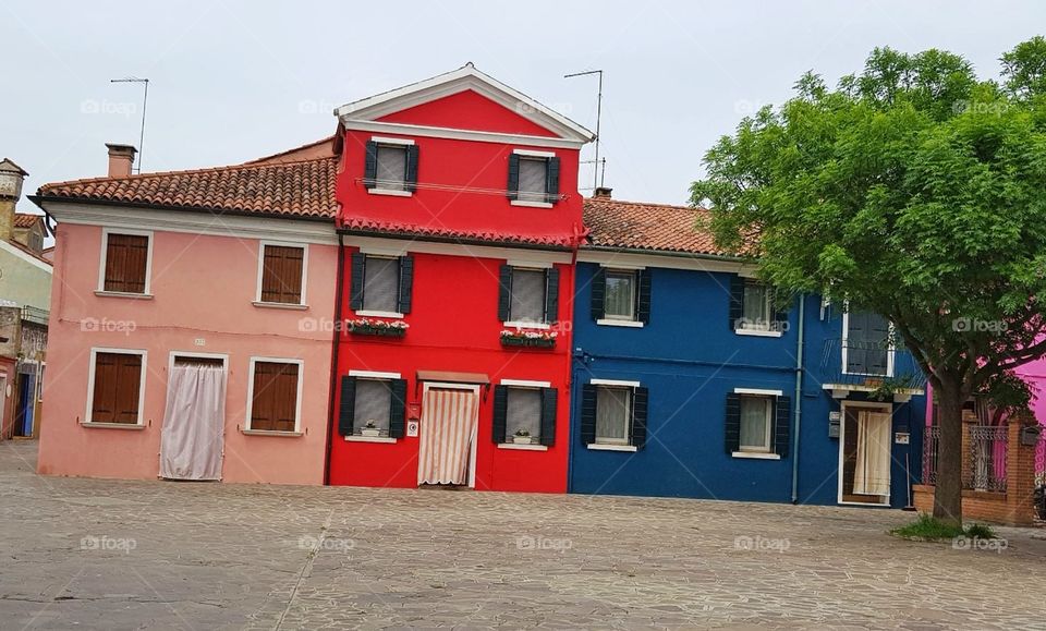 Colored houses