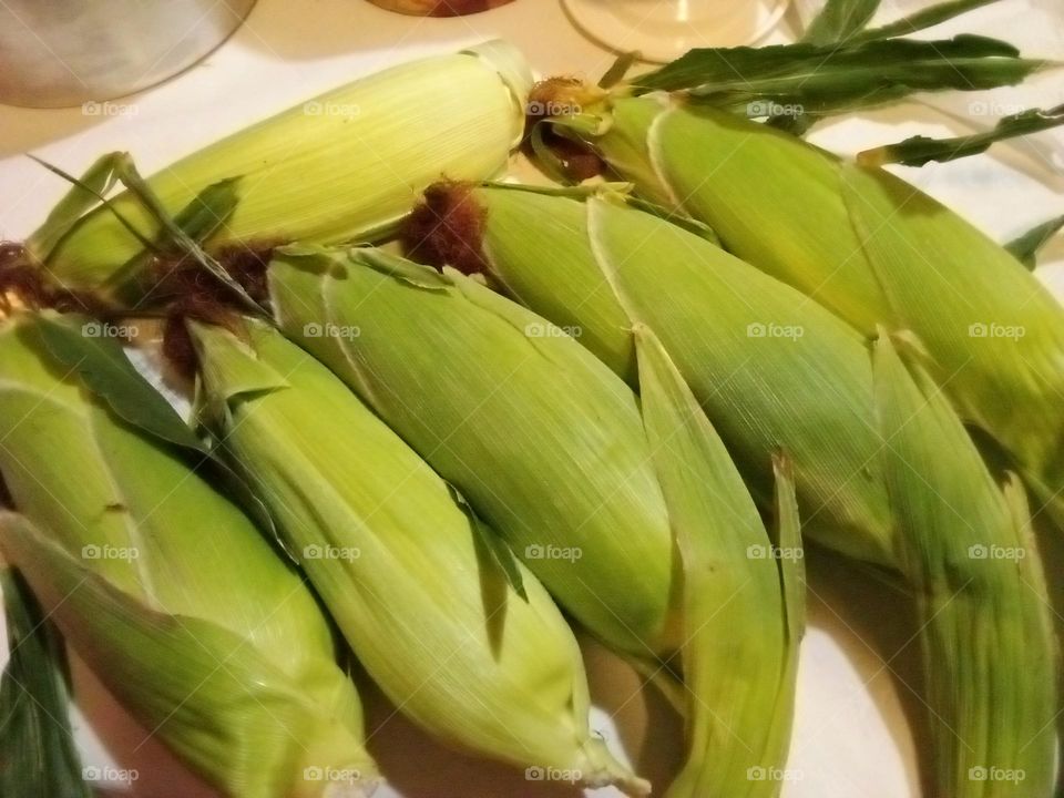 fresh corn