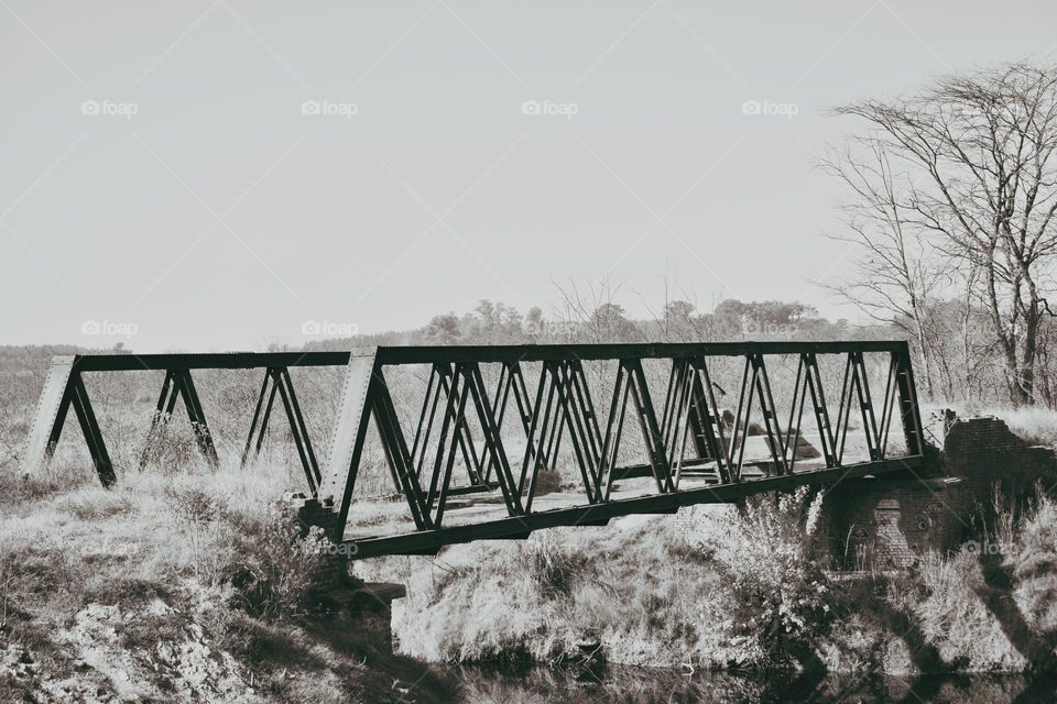 bridge