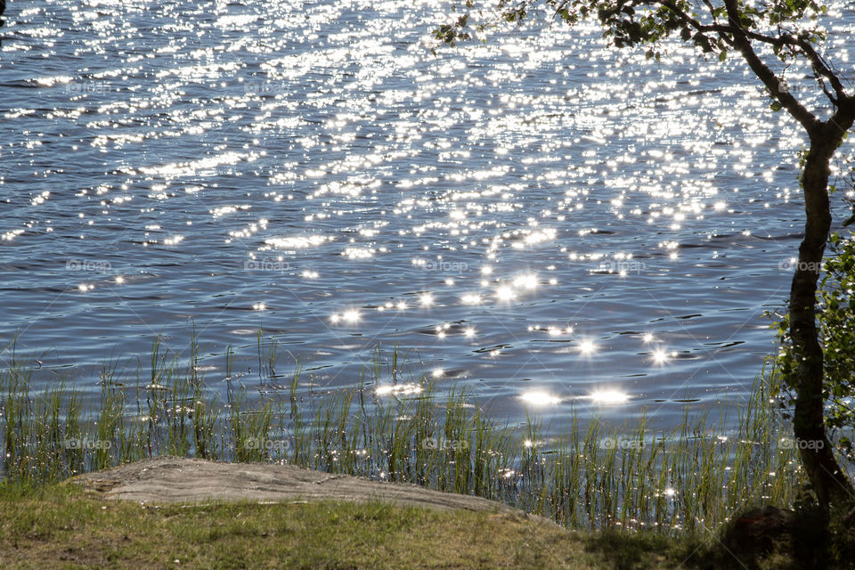 Beautiful lake with sun reflection in June 