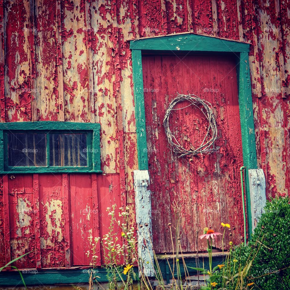 the old garden shed