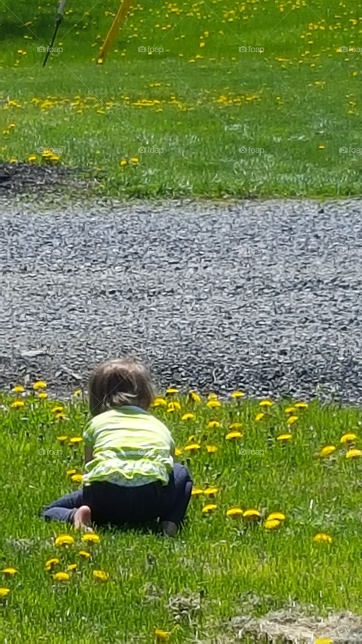 Gabby playing in yard