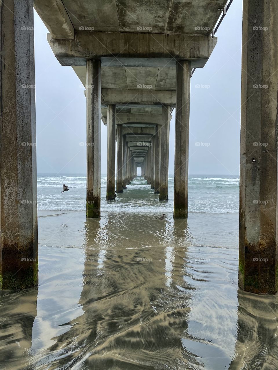 Underneath the Ellen Browning Scripps Memorial Pier