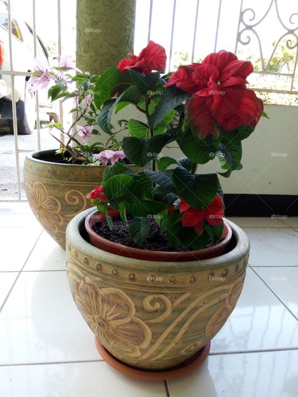 Pot, Vase, Flower, Flowerpot, Decoration